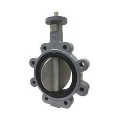 Butterfly Valve