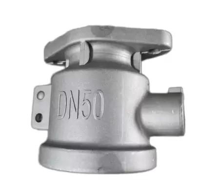 Steam trap Valve