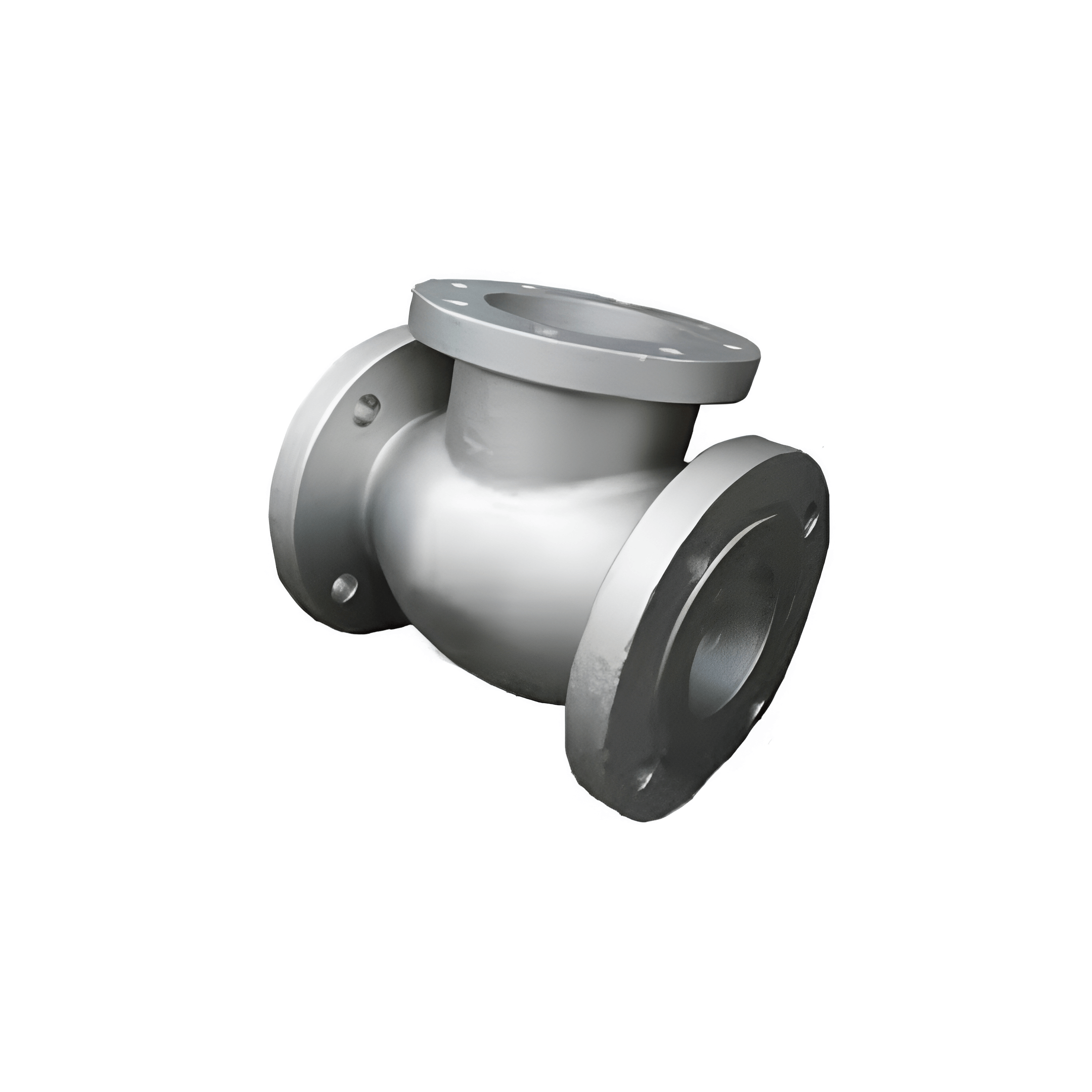 Check Valve Body
